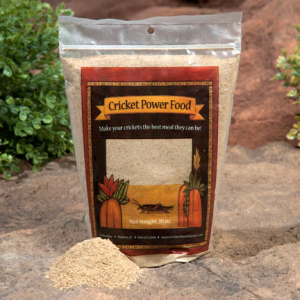 Live Insect Accessories